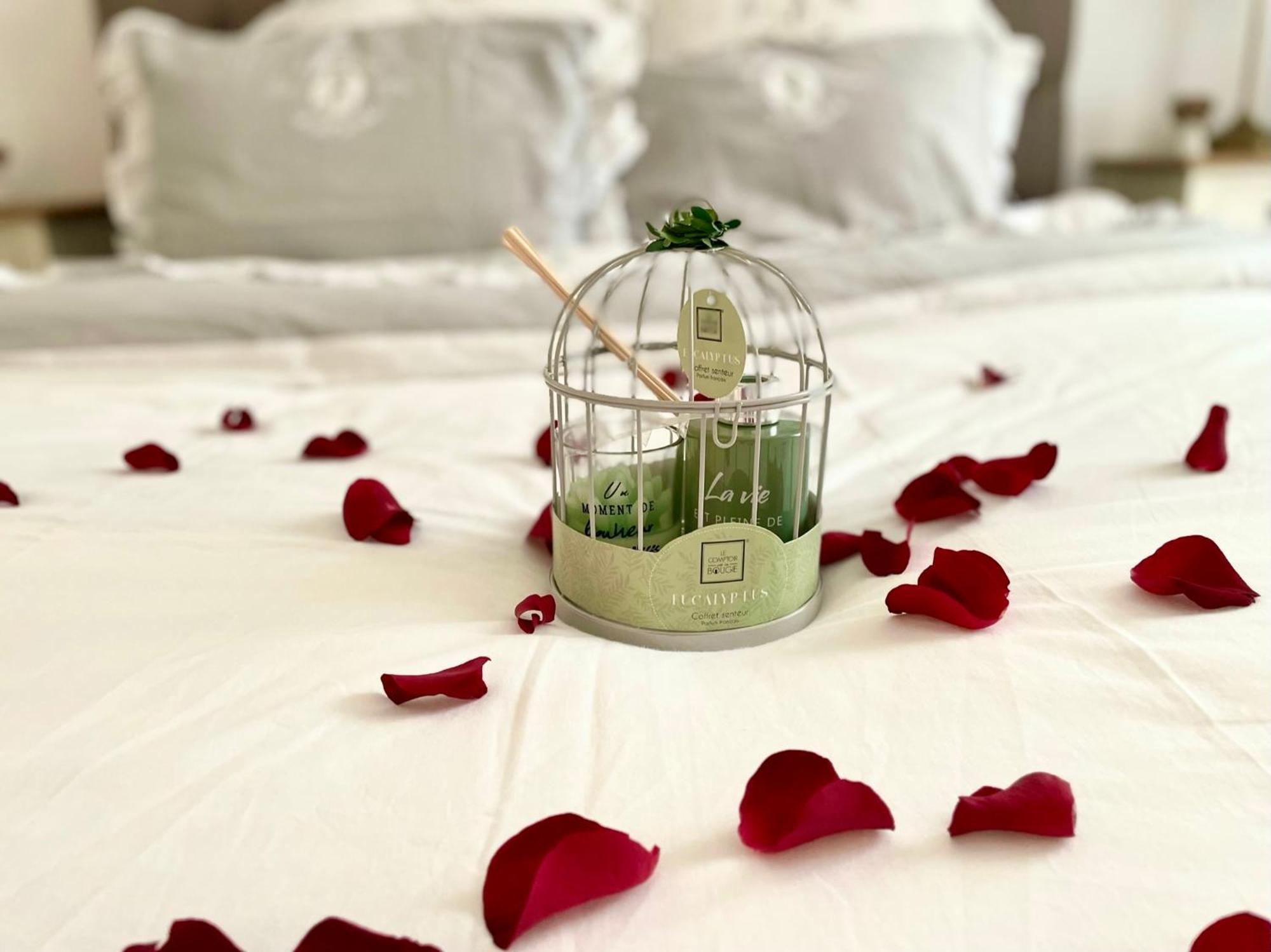 Elegance Et Romantisme Au Coeur De La Situee Sur La Place De Lices - Le Port Apartment